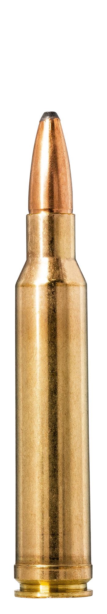 308 Norma Magnum Dummy Rounds Snap Caps Fake Ammo Bullets .308 Mag - Rifle  Ammunition at  : 1004079614