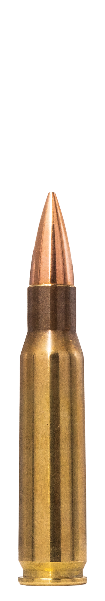 Norma .308 Winchester Range & Training 150 gr | Norma